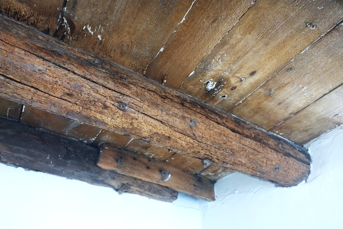 YorksVernacular's tweet image. Now speculating whether we might have that rare thing - genuine ships' timbers reused in a building - in Filey Museum building. A purlin and ceiling beam look decidedly mast-like, and other timbers have a multitude of pegholes difficult to explain in a house. Just need proof now!