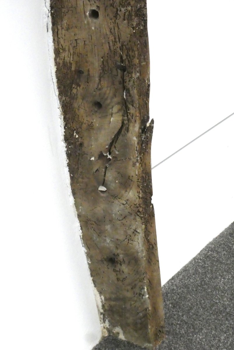 YorksVernacular's tweet image. Now speculating whether we might have that rare thing - genuine ships' timbers reused in a building - in Filey Museum building. A purlin and ceiling beam look decidedly mast-like, and other timbers have a multitude of pegholes difficult to explain in a house. Just need proof now!