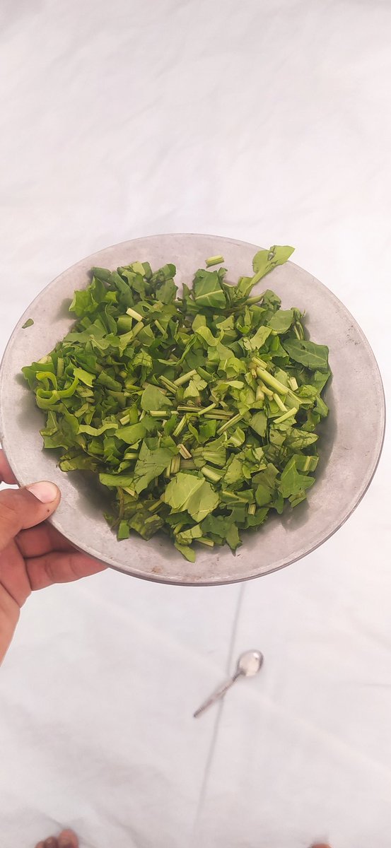 wesam8517's tweet image. Our hearts ache whenever we remember the day we ate with spoons. We couldn't find bread to eat, and we could only find spinach leaves. We never expected to reach a stage where food becomes an unattainable dream, but we need food 😭💔
chuffed.org/project/131113