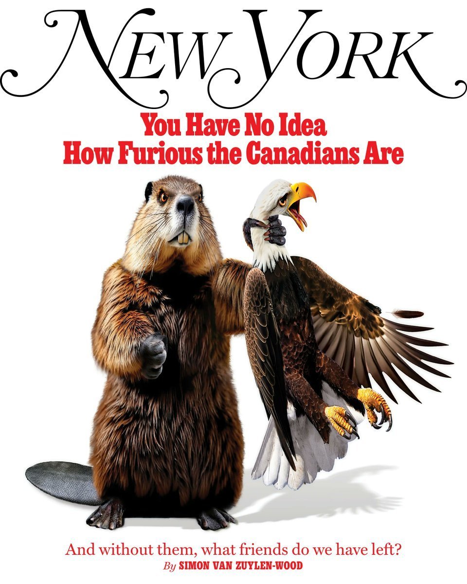 svzwood's tweet image. My report from Canada on the nation's mass revolt against the United States. Here's what it looks like on the ground when you’ve managed to incense the friendliest people on the planet
nymag.com/intelligencer/…