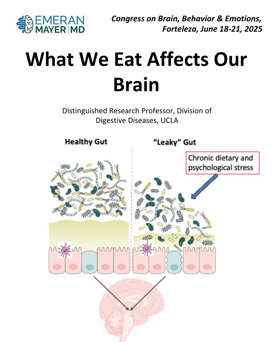 EmeranMayerMD's tweet image. Chronic stress doesn’t just affect your mind—it disrupts your gut, hormones, and immune system too.
Modern life is flooding our bodies with psychological and dietary stress.
What’s one habit that helps you manage stress and protect your gut?