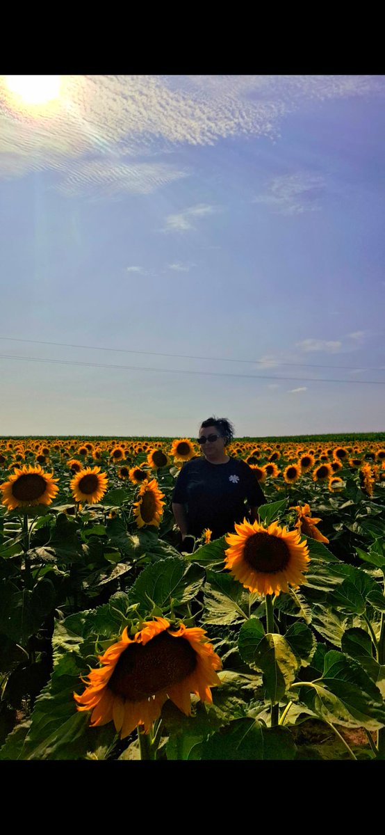 FrauGru's tweet photo. "Keep your face to the sunshine and you cannot see the shadows." – Helen Keller 🌻 https://t.co/vbngz9n2PA