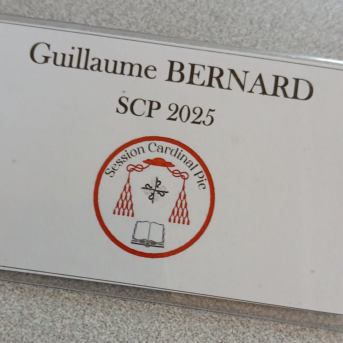 GB_GBernard's tweet image. Très  heureux d'avoir participé à la "Session Cardinal #Pie" 2025. Je suis intervenu, ce 14 juillet, sur Carl #Schmitt, un juriste dont la pensée est interessante mais qui est resté prisonnier de la #modernité. 
Publication à venir... 
#Avrillé
