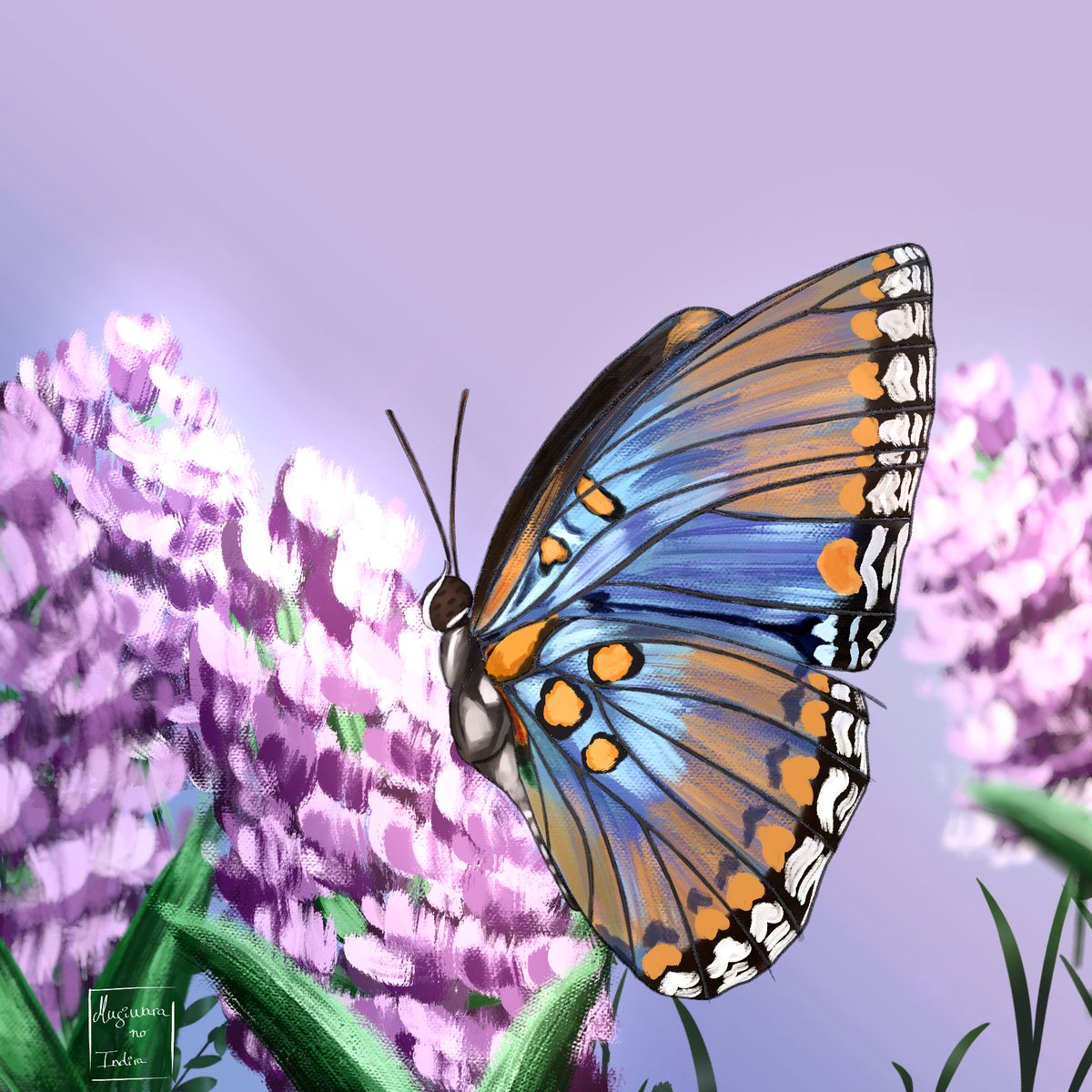Mugiwara_Indira's tweet photo. Mi pieza para #cspcontest44
Me hubiera gustado poder trabajar más en ella pero ya voy justita de tiempo. Simplemente me hacía ilusión publicarla 🥰
APP: Clip Studio Paint para Galaxy
#digitaldrawing #digitalart #mariposa  #digitalrendering #artmoots #butterfly #butterflyrendering https://t.co/kzk9HGKOf8