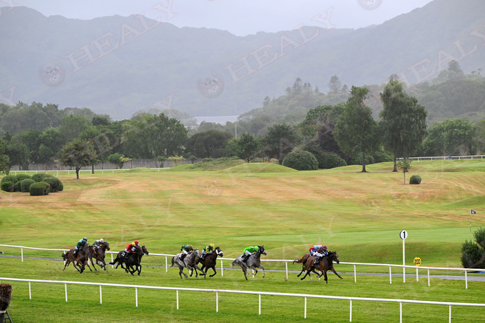 Pat Healy tweet media