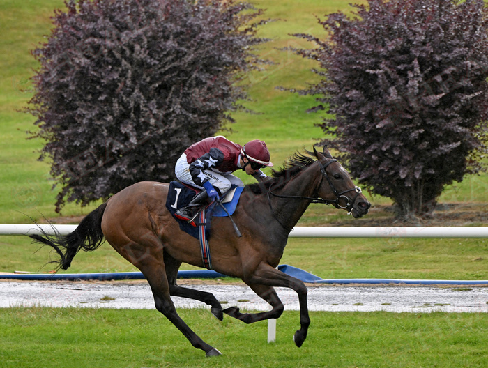 Pat Healy tweet media