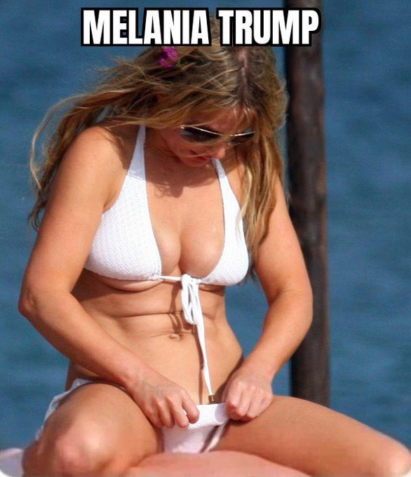 This is the First Lady of the United States checking on the state of her qualifications for the Einstein Visa.