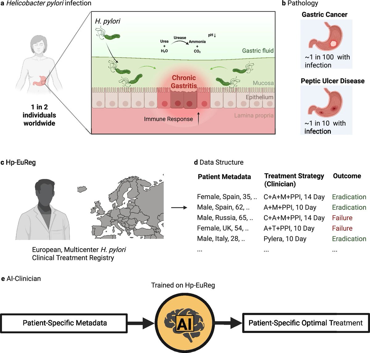 DailyHealthcareAI (@aipulserx) on Twitter photo Can artificial intelligence outperform human clinicians in selecting personalized treatments for the world's most common carcinogenic infection that affects nearly half the global population?<a href="/NatureComms/">Nature Communications</a> <a href="/UAM_Madrid/">UAM Autónoma Madrid</a>
"The Helicobacter pylori AI-clinician harnesses artificial Can artificial intelligence outperform human clinicians in selecting personalized treatments for the world's most common carcinogenic infection that affects nearly half the global population?<a href="/NatureComms/">Nature Communications</a> <a href="/UAM_Madrid/">UAM Autónoma Madrid</a>
"The Helicobacter pylori AI-clinician harnesses artificial