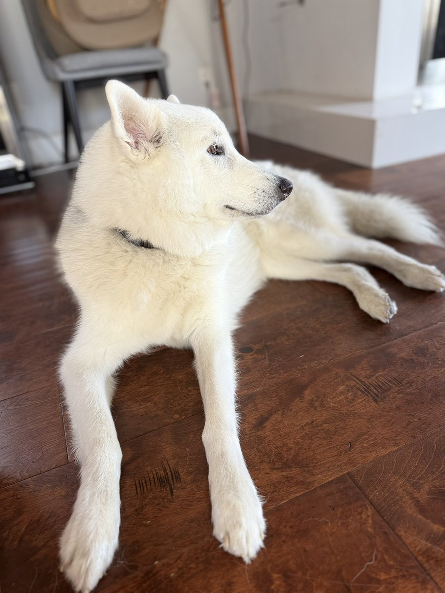 cynthia frelund tweet media