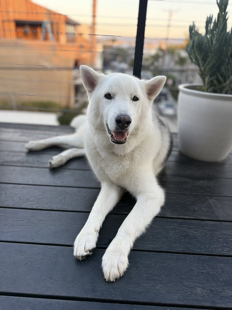 cynthia frelund tweet media