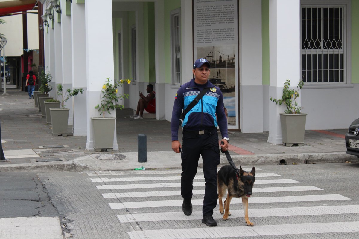 👮🏻‍♀️Agentes de Control Municipal de #SeguraEP realizan patrullajes en los distintos sectores de la ciudad garantizando el orden público.

Estos recorridos refuerzan la seguridad ciudadana, además de recordar el cumplimiento de las normativas vigentes #ConstruyendoLaCiudadDeTodos.
