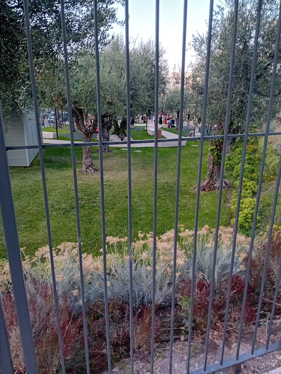 DCIRASOLE's tweet image. #NatureLovers
#OliveGrove
#CommunityPark
#GreenSpaces
#TakeCareOfOurPlanet
#RespectNature
#SustainableLiving
#UrbanOasis
#ParkLife
#ProjectOfThePeople