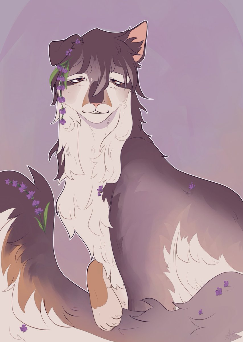 aidanschewpid's tweet image. sleepy babie #wcoc