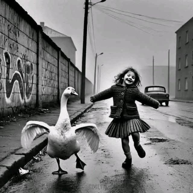 #PAK_PG
اپنی پریشانیوں کے ساتھ شادی کر کے نہ بیٹھ جایا کریں، بلکہ ان کی سرکوبی کے لیے آخری حد تک سوچیں، کیونکہ دُکھ سہنے میں کوئی عظمت نہیں چھپی ہوتی۔