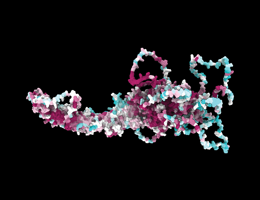 scisignal's tweet image. New #CryoEM discoveries are decoding the structural properties and evolution of the TSC2 protein complex, which acts as a key brake on the cell growth-promoting #mTORC1 signaling pathway. @lab_manning @HarvardChanSPH
Check out the new Review: scim.ag/46CKN0J