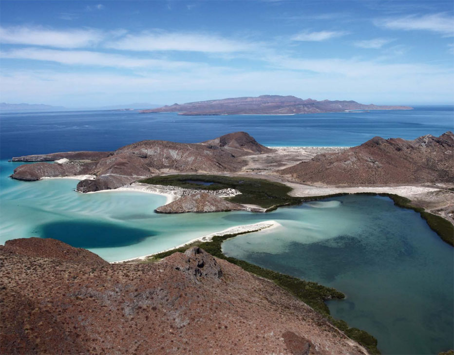 SECTUR México (@sectur_mx) on Twitter photo 💙 ¡#UnDíaComoHoy de 2005, se inscriben las Islas y Áreas Protegidas del Golfo de California a la lista de Patrimonio Mundial de la <a href="/UNESCO/">UNESCO 🏛️ #Education #Sciences #Culture 🇺🇳</a>! 🎉
Este asombroso sitio, conocido como “el acuario del mundo”, es uno de los ecosistemas marinos más ricos del planeta. Abarca islas, 💙 ¡#UnDíaComoHoy de 2005, se inscriben las Islas y Áreas Protegidas del Golfo de California a la lista de Patrimonio Mundial de la <a href="/UNESCO/">UNESCO 🏛️ #Education #Sciences #Culture 🇺🇳</a>! 🎉
Este asombroso sitio, conocido como “el acuario del mundo”, es uno de los ecosistemas marinos más ricos del planeta. Abarca islas,