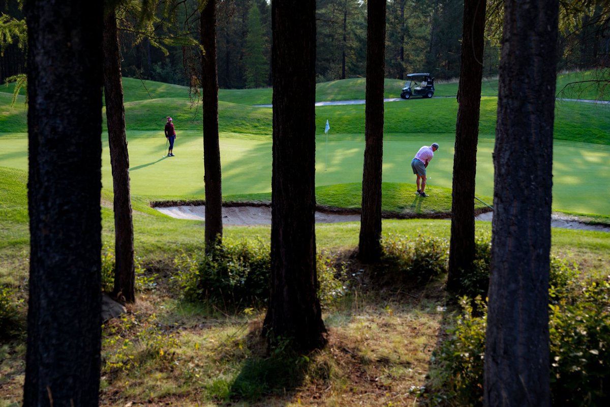 Golf &amp; Show Special – Only $99!

18 holes of golf &amp; a ticket to the Pars and Guitars show featuring Kraig Nienhuis – all for just $99!

Available July 24 July 25. Call Pro Shop to book tee time and for ticket. 250-427-3389

Show-only tickets $30 - tricklecreek.com/events-calenda…