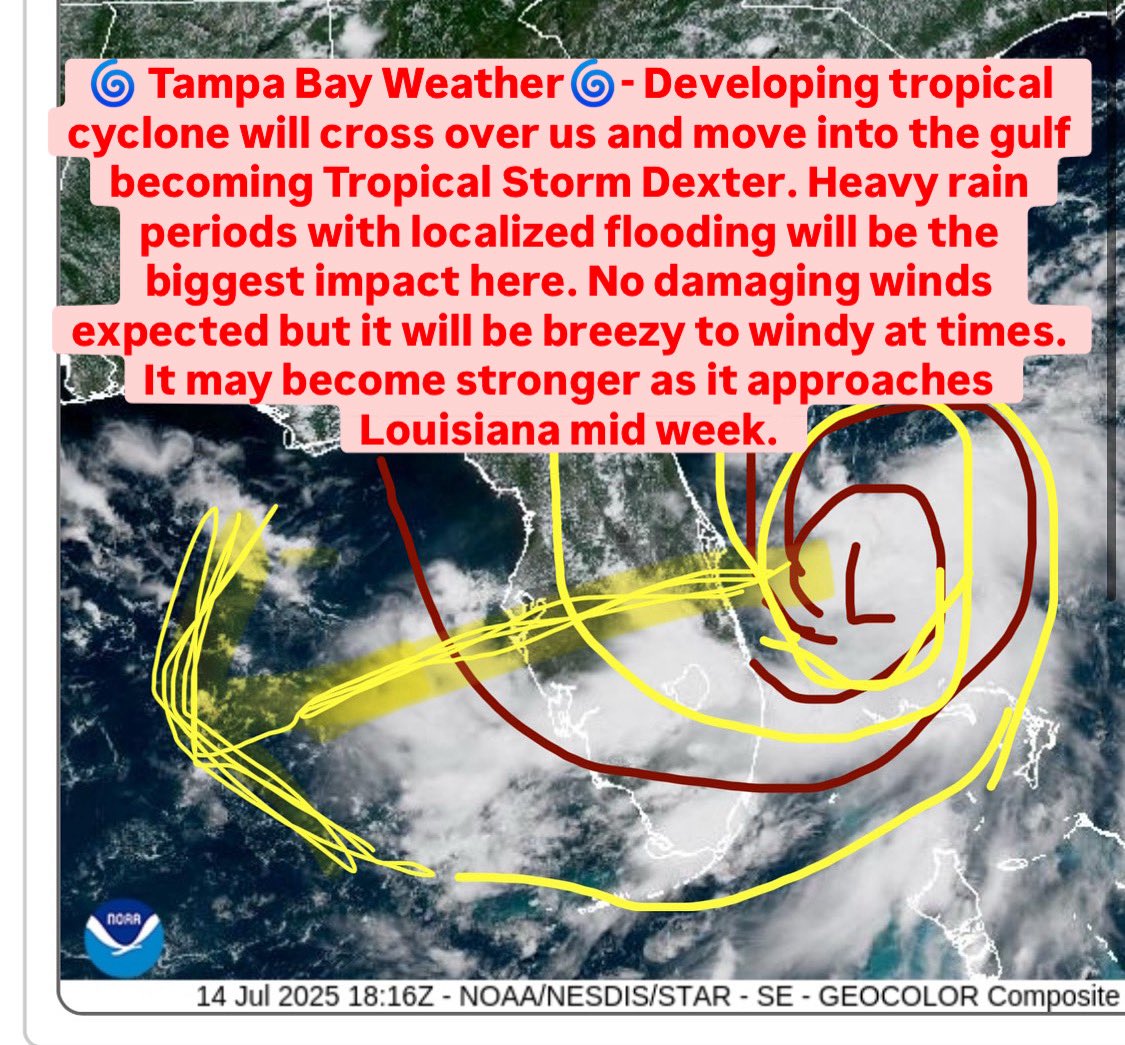 Tampa Bay Storm Chaser tweet media