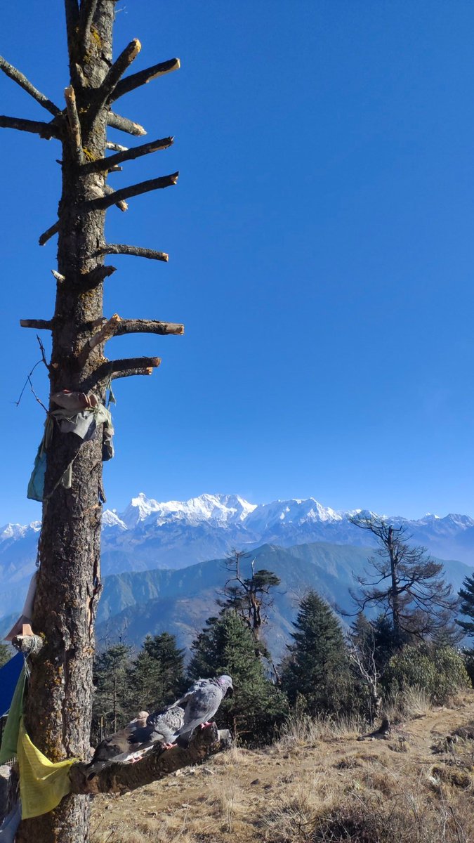 Timilsina_J's tweet photo. Echoes of Taplejung, Dhankuta, and Sankhuwasabha. #JayJournal #PhotoDiary https://t.co/QInfz19xkX