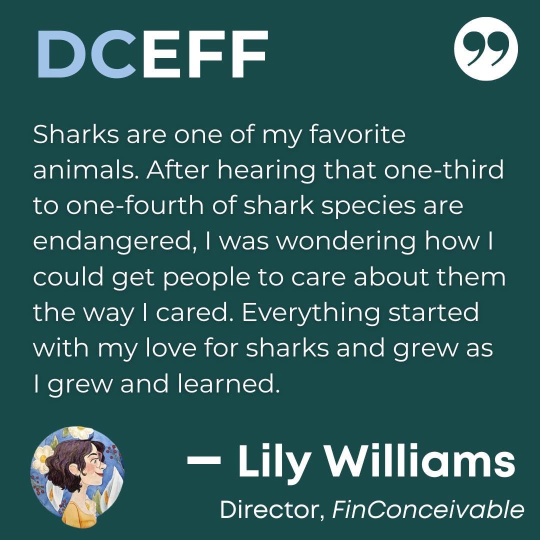 dceff_org's tweet image. Happy #SharkAwarenessDay! To help celebrate we recommend checking out our 2023 interview with Lily Williams, whose popular animated short FINCONCEIVABLE explores the role sharks play in our world and what could happen if they ceased to exist. substack.com/home/post/p-16…