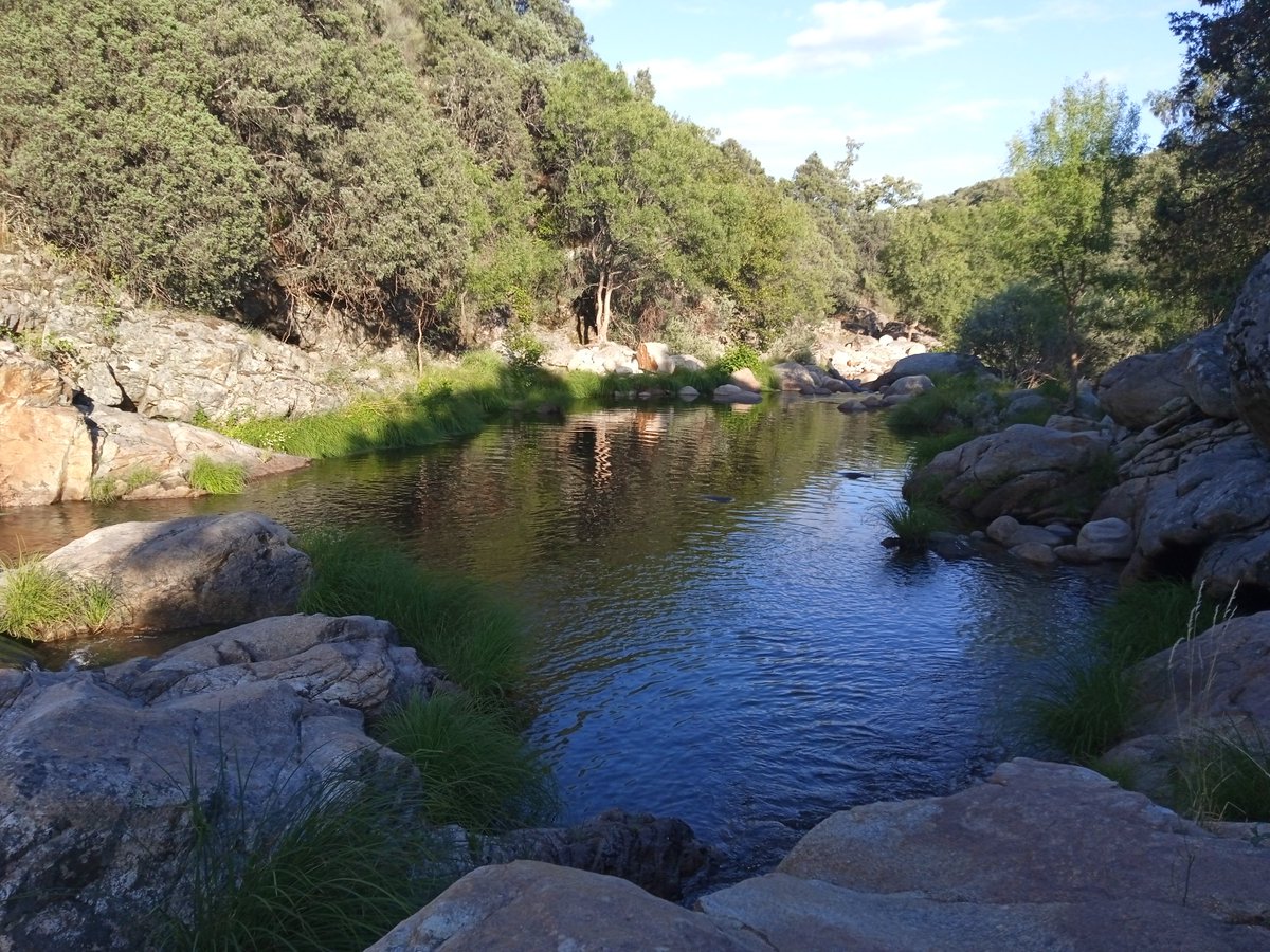 ♻️Miguel Timón López 🚀 (@mikitimon) on Twitter photo Nueva temporada en el valle del Tietar, a los pies del Macizo Central de Gredos. #Extremadura <a href="/ferrecasado/">Oscar Ferreiro</a> Nueva temporada en el valle del Tietar, a los pies del Macizo Central de Gredos. #Extremadura <a href="/ferrecasado/">Oscar Ferreiro</a>