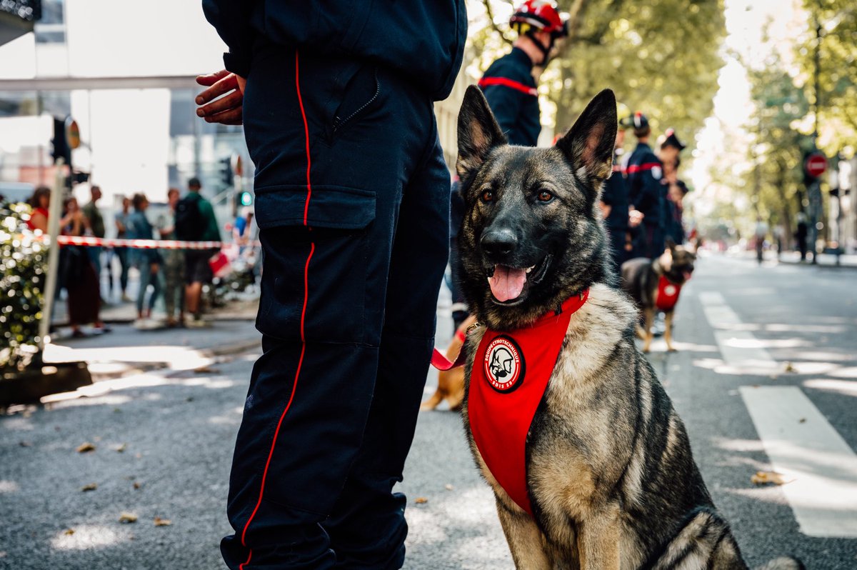 Sapeurs-pompiers du Nord tweet media