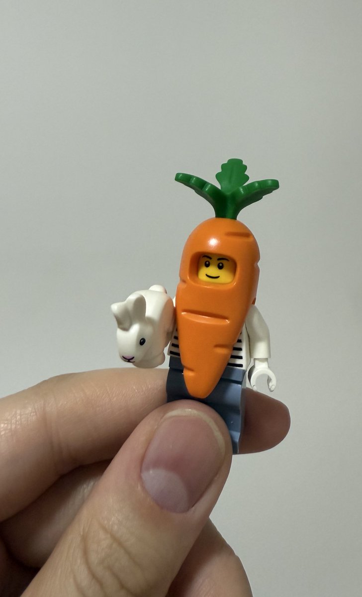 Arkadaşlar artık benim havuç jungkookum var