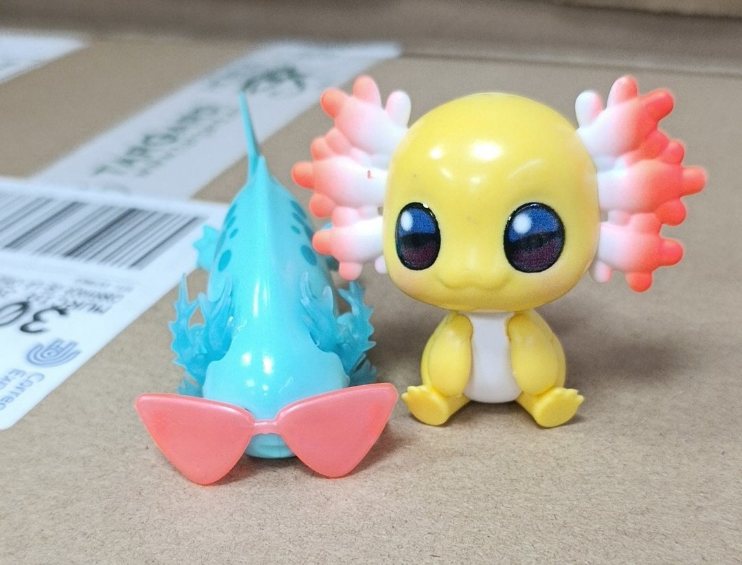 Mi hermano y yo tenemos dos ajolotes 💛🩵 ♪⁠～⁠(⁠´⁠ε⁠｀⁠ ⁠) 

Obviamente el amarillo es el mío jeje