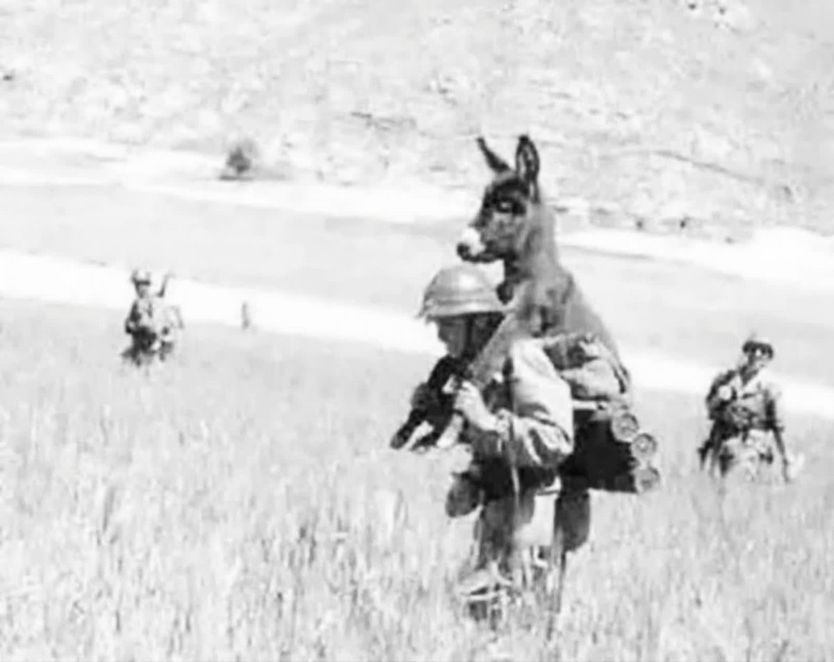 ✍ به نظر من از سر محبت الاغ را کول نکرده میدان مین است یک قدمِ اشتباهیِ این الاغ ، کل عملیات رو مختل میکنه 
🔸ناچاریم به خاطر پیشبرد انقلاب مان بسیاری از الاغ ها را روی سر بگذاریم و سالها کول کنیم و محاکمه نکنیم تا مبادا فقط به خاطر یک الاغ نادان یا خائن مملکت را از دست بدیم