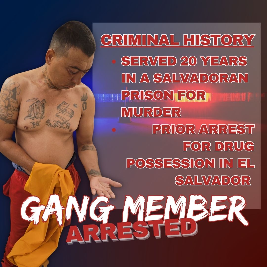 USBPChief's tweet image. VIOLENT MS-13 GANG MEMBER ARRESTED IN MICHIGAN!
On Sunday, USBP agents and Sterling Heights PD removed a dangerous Salvadoran national from our streets. Officers responded to a hotel fight and called Border Patrol for backup. During questioning, the suspect admitted to being an…