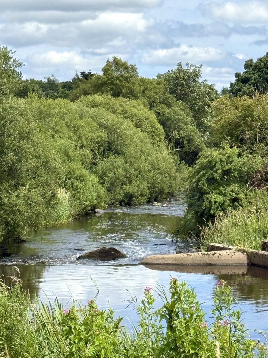 A favourite nature view. The only sounds are the gentle flow of water and birds chirping. Imagine yourself there; it’s as cool or as warm as you want it to be, breathing in and out serenity! 💙💚🕊️

#landscapephotography #NatureTherapy #NaturePhotography