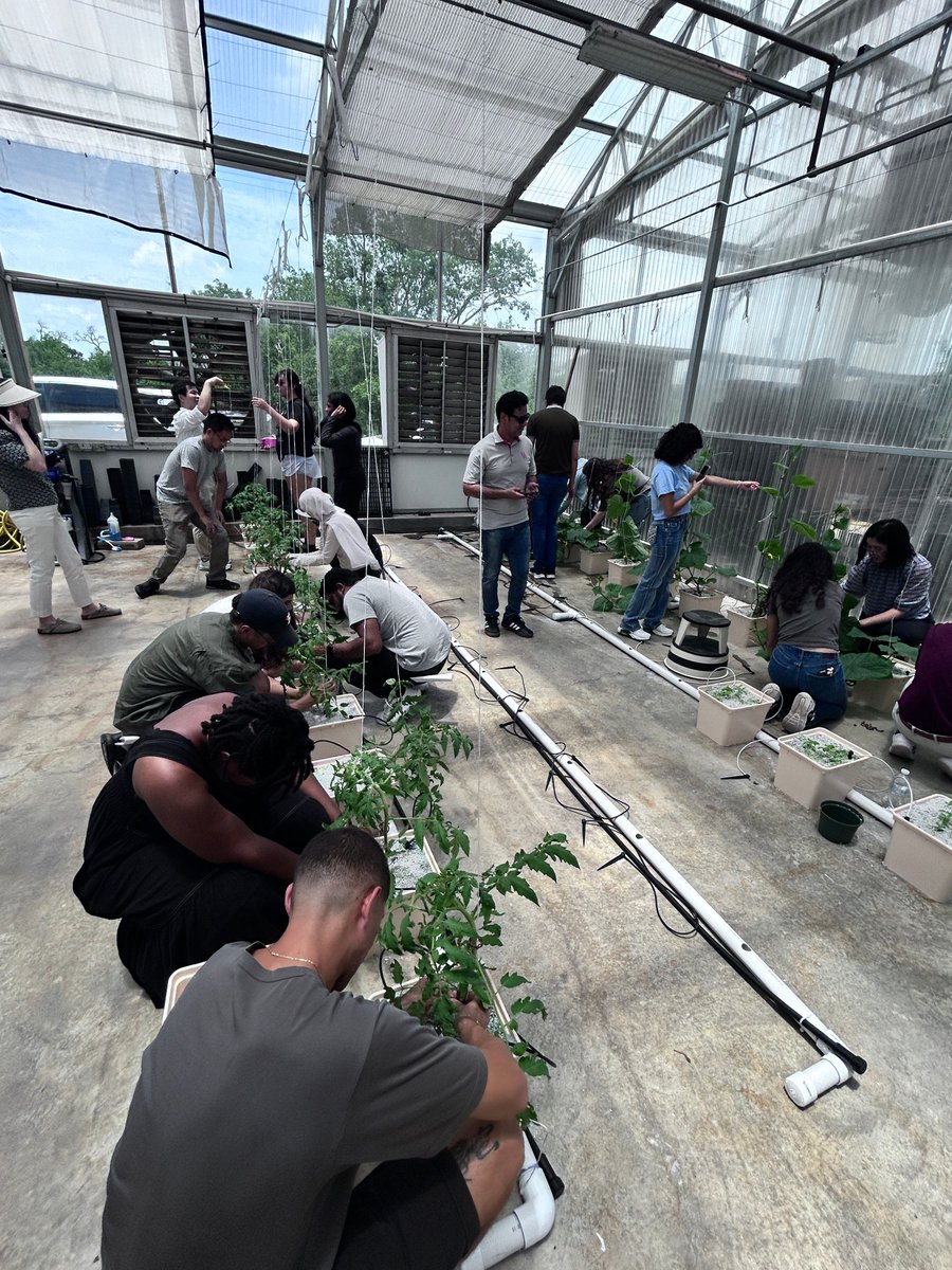 UHEngineering's tweet photo. ๐ฑ Future Environmental Engineers got hands-on at the Controlled Environment Food Production Workshop hosted by @TAMUEngineering and the #CullenCollege!
Over two days, students explored hydroponics, aeroponics, and toured cutting-edge greenhouses and biomanufacturing labs. https://t.co/a4iGmbBrgt