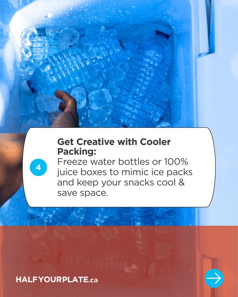 Planning a road trip this summer? One thing is for sure, you'll need snacks to keep you fueled ⚡ Here are our top 4 strategies to ensure your road trip is enjoyable &amp; delicious! 😋

#SummerSalads #Halfyourplate #SummerGreens #Roadtrip