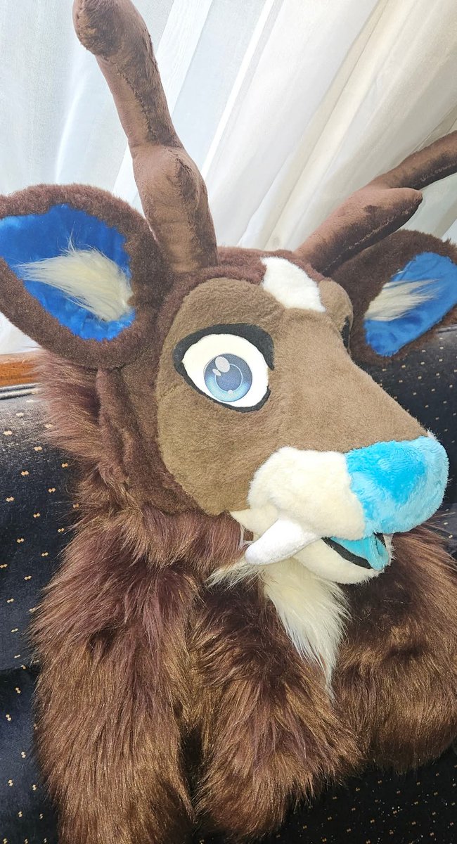 whitewolfangel7's tweet photo. After 2 months ranger the deer is done!! #fursuitmaker #muskdeer #fursuit #FursuitEveryday
@SorceryDeer finished her first suithead!! Last Friday!!! Under my instruction!!
Now to finish the skunk head tomorrow.
And start on another head for her personal project! https://t.co/7Sy4jahkfV