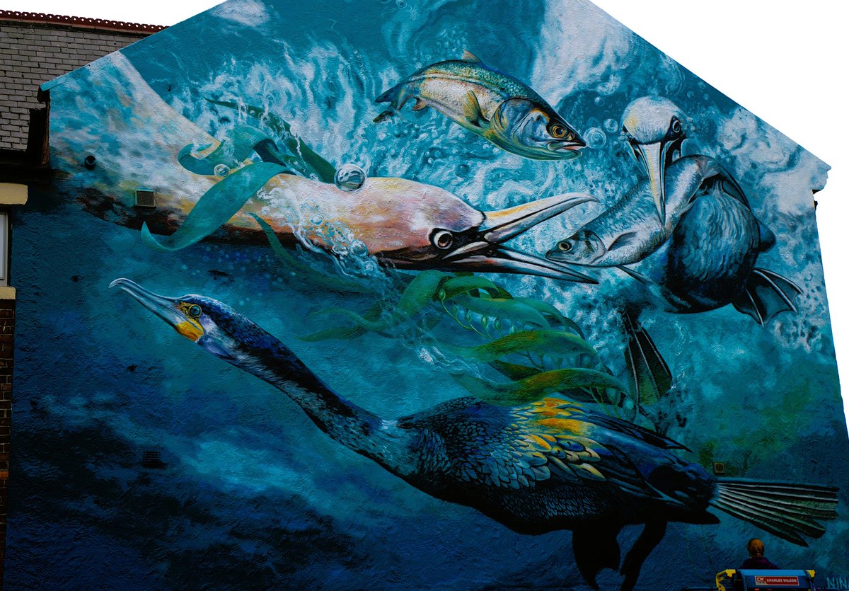 jac61941964's tweet image. As part of the North Shield's 800th anniversary new art work is being created around the town.
This was painted by Dutch artist Nina Valkhoff.
#NorthShields
#Tyneside
#art
