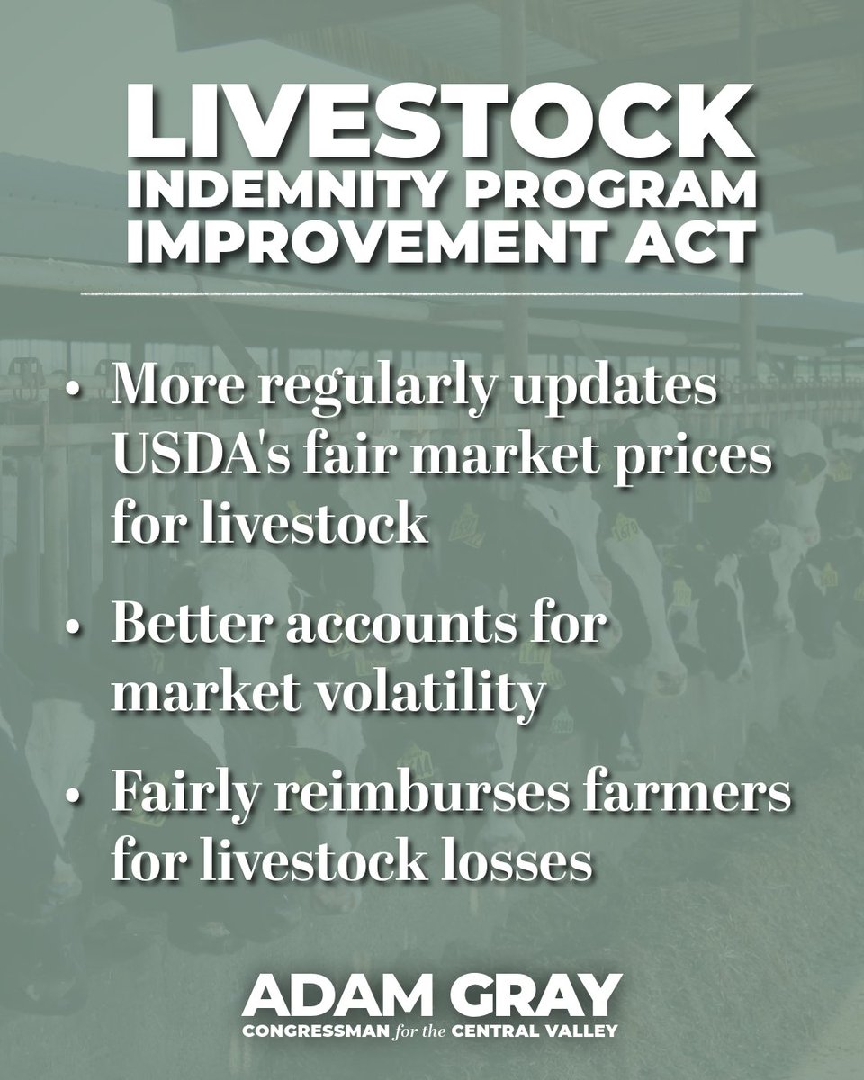 RepAdamGrayCA's tweet image. When disaster strikes, our farmers should not be held accountable for loss of livestock.
That's why I joined @RepFeenstra to introduce the bipartisan Livestock Indemnity Program Improvement Act to update @USDA's payment rates and fairly compensate American farmers.