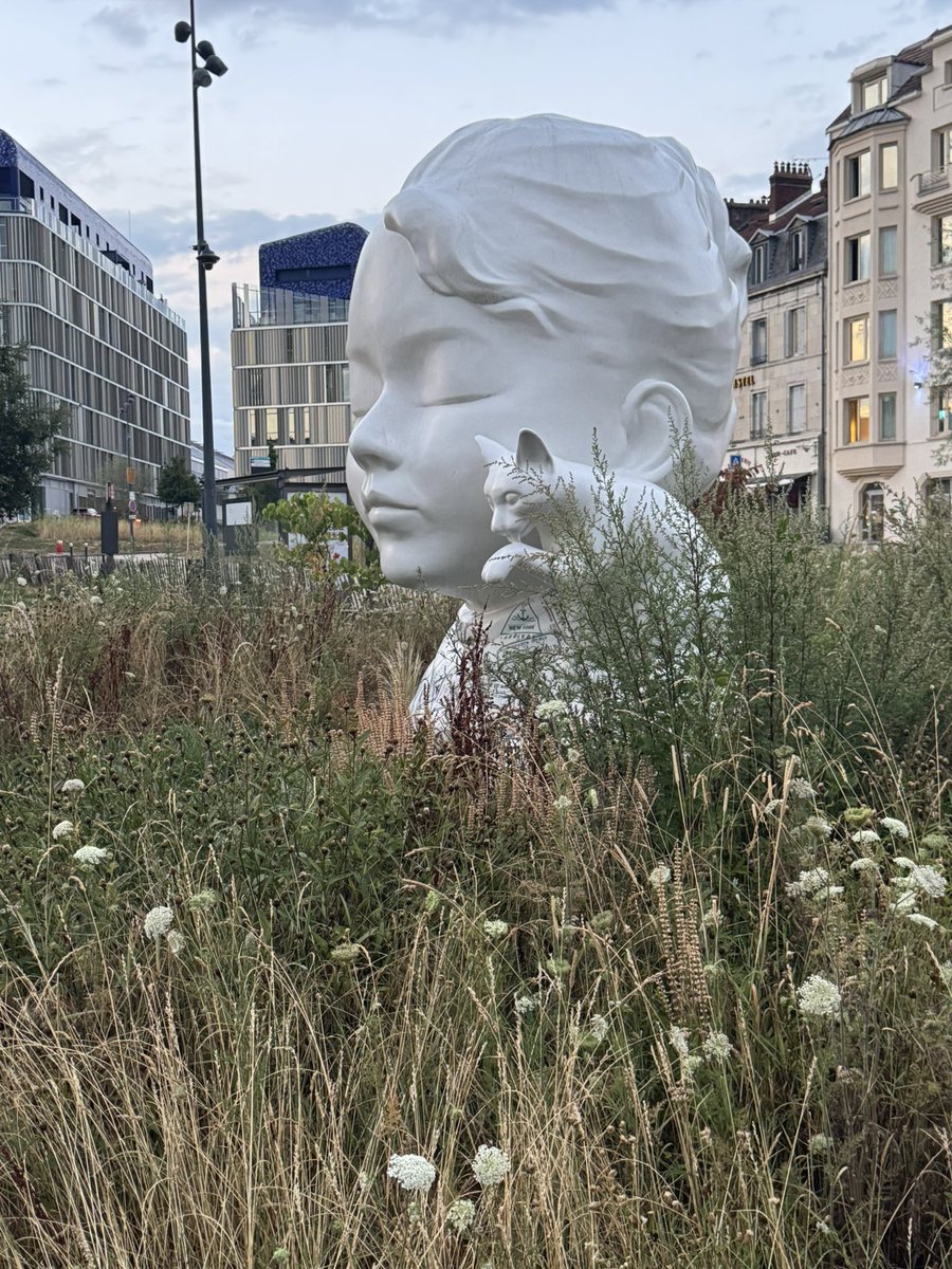 editsc's tweet image. Besançon