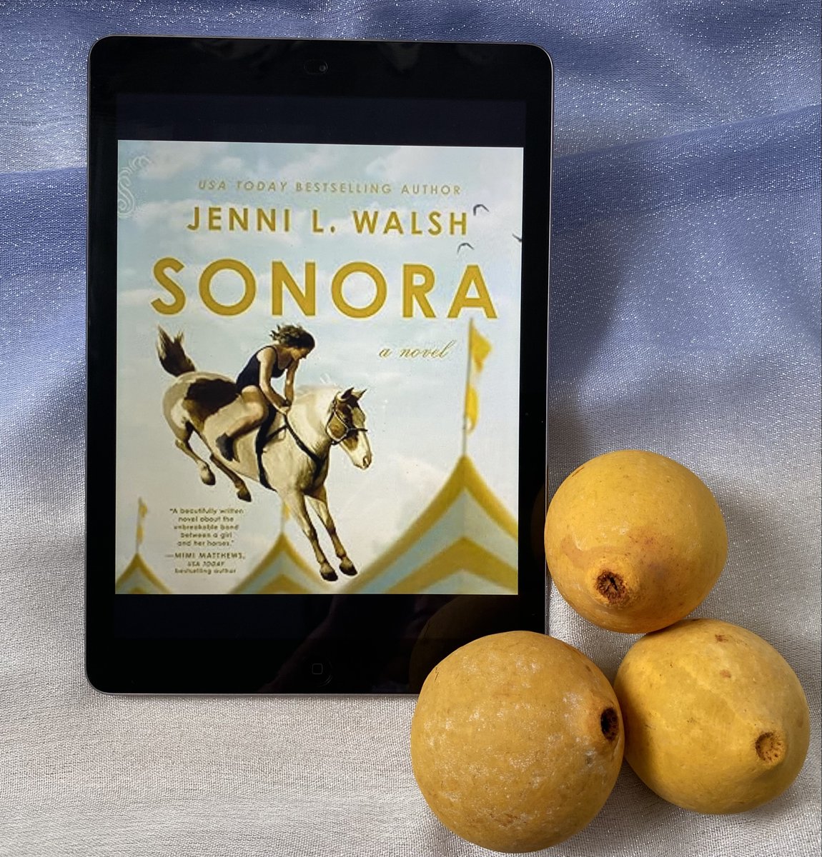 Bio-HistoricalFiction (@annettebreviews) on Twitter photo Thank you <a href="/HarperCollins/">HarperCollins</a> for ARC of #Sonora by <a href="/jennilwalsh/">Jenni L. Walsh</a> which sheds light on a fascinating true character—an American woman who was one of the first female horse divers. Captivating writing w/suspenseful scenes & character larger than life. Re 10/28/25 mysteryandsuspense.com/sonora/ Thank you <a href="/HarperCollins/">HarperCollins</a> for ARC of #Sonora by <a href="/jennilwalsh/">Jenni L. Walsh</a> which sheds light on a fascinating true character—an American woman who was one of the first female horse divers. Captivating writing w/suspenseful scenes & character larger than life. Re 10/28/25 mysteryandsuspense.com/sonora/