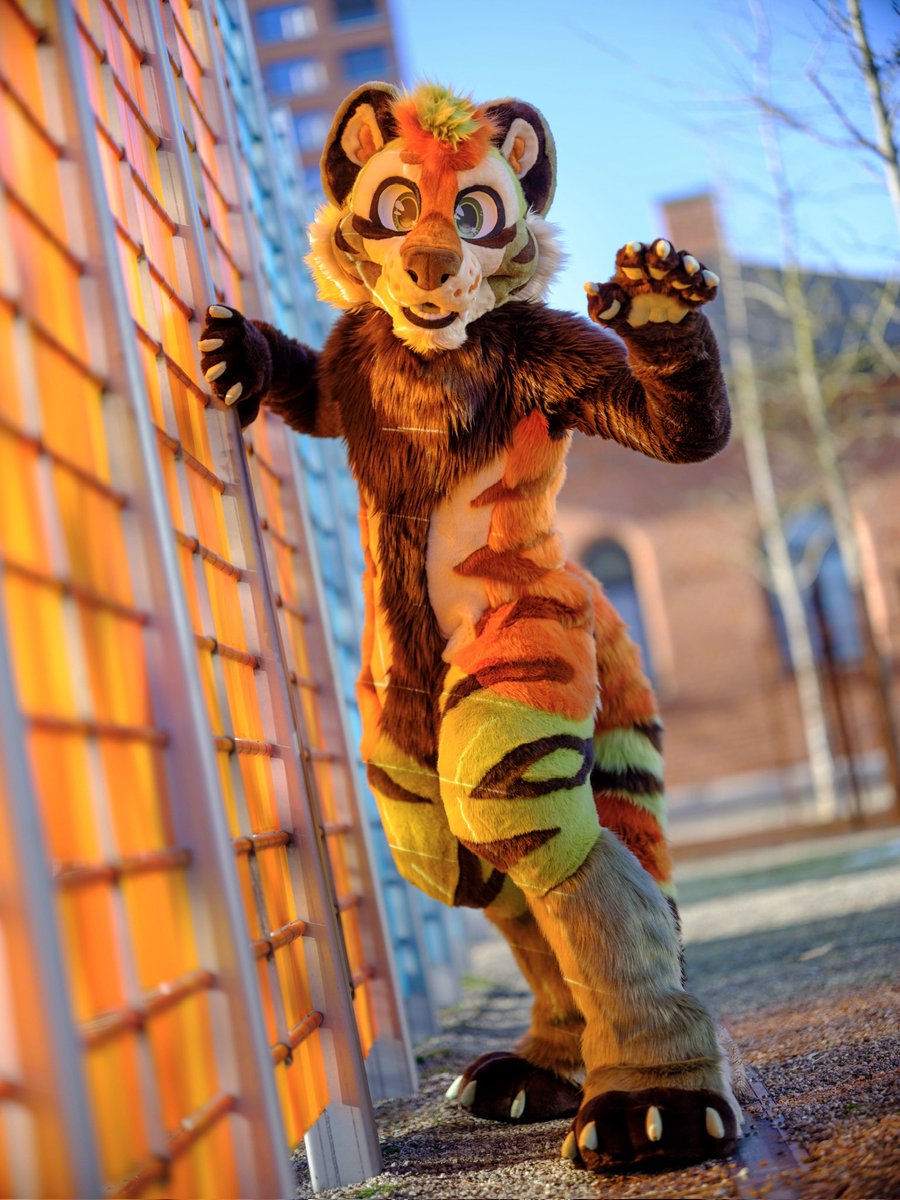 Carlito ๐ (@carlitodurr) on Twitter photo Everything the light touchesโฆ is about to be climbed, pawed, or knocked over! ๐๐ฅ
๐ธ: <a href="/CaptainChaotika/">๐ป ๆททๆฒ็้้ท โก๏ธ TFF, AC, EF</a>
๐ชก: <a href="/ThePhoenixNest_/">๐ฅ๐ชถPhoenix Nest๐ชถ๐ฅ</a> Everything the light touchesโฆ is about to be climbed, pawed, or knocked over! ๐๐ฅ
๐ธ: <a href="/CaptainChaotika/">๐ป ๆททๆฒ็้้ท โก๏ธ TFF, AC, EF</a>
๐ชก: <a href="/ThePhoenixNest_/">๐ฅ๐ชถPhoenix Nest๐ชถ๐ฅ</a>