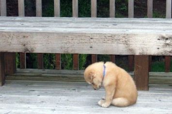 percynotes's tweet image. gente, eu acho que eu vou ser a única mulher da minha turma...