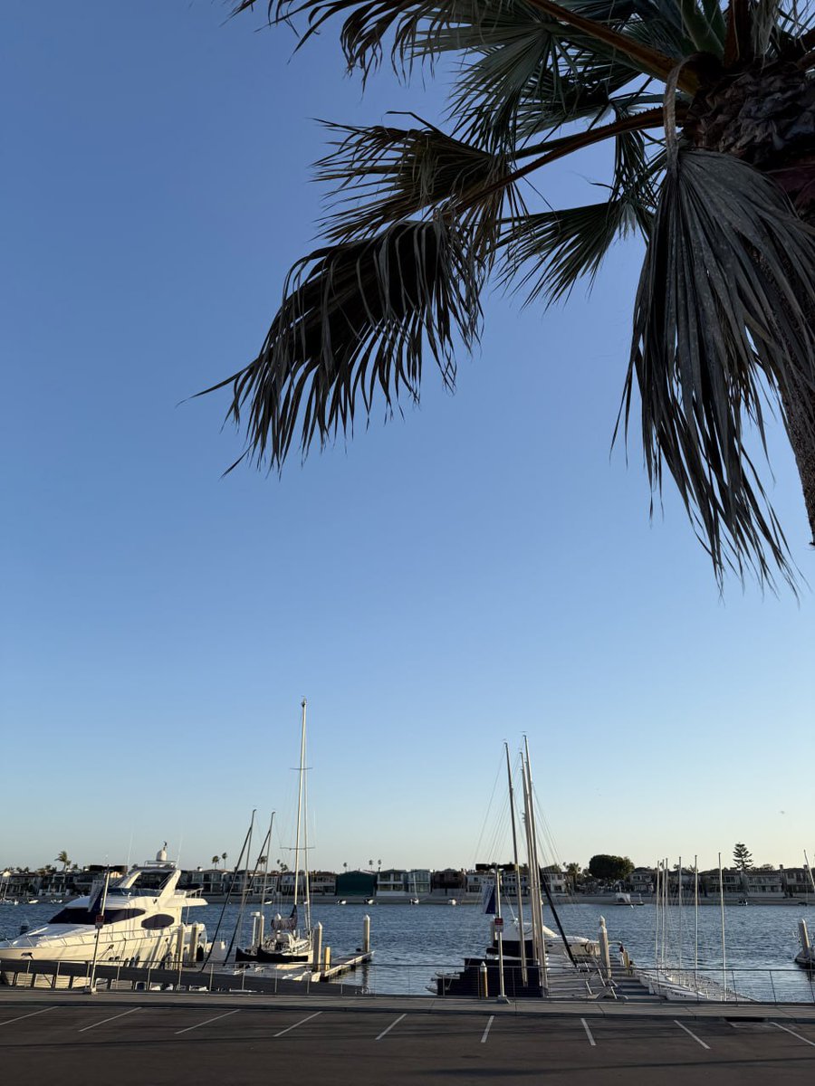 Nicole74Nicole's tweet image. Chasing sunsets and good vibes at the marina 🌅⛵️✨ #WaterfrontWonders #PalmTreeParadise