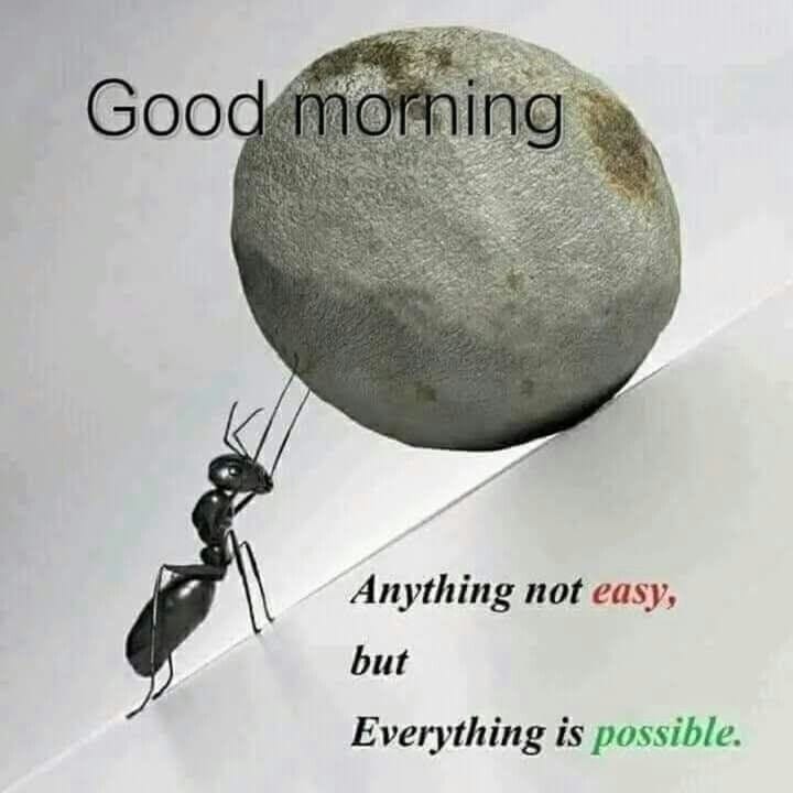 🌻🌻Good Morning to all🙏🙏
#ConorMcGregor #RareBeauty #Bitcoin #ENGvIND #NuNew #RareBeauty 
#GoodMorningEveryone