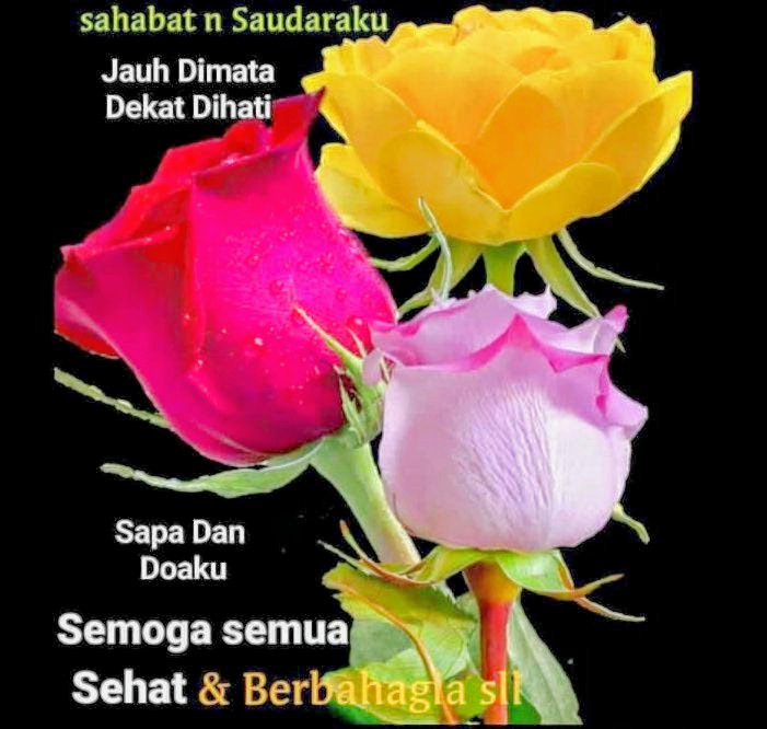 harya Budi (@bima282828) on Twitter photo Semangat pagi sahabat semua... Semangat pagi sahabat semua...