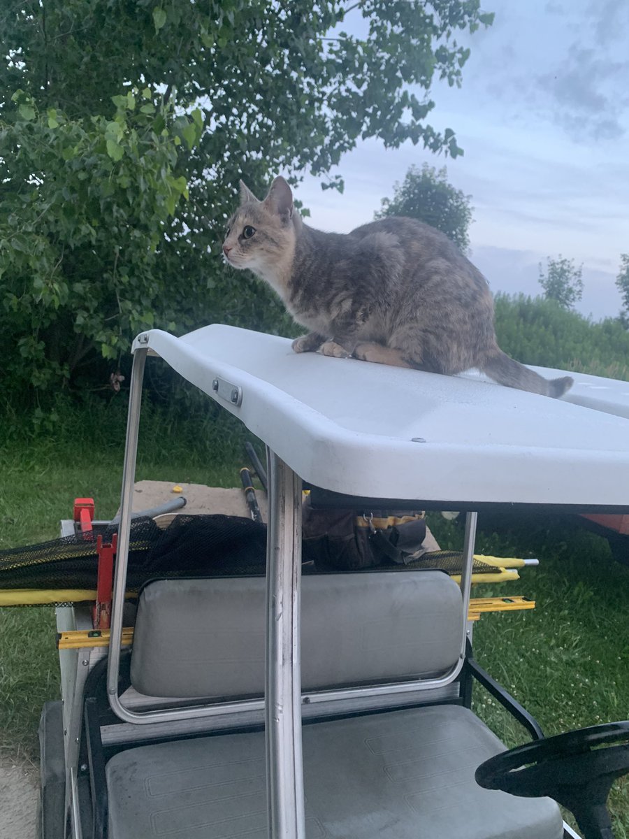 Connor Dickson tweet media