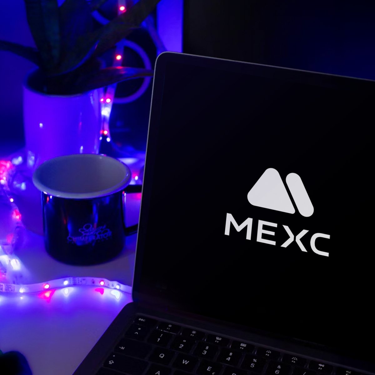 GM. What coin will you trade today?