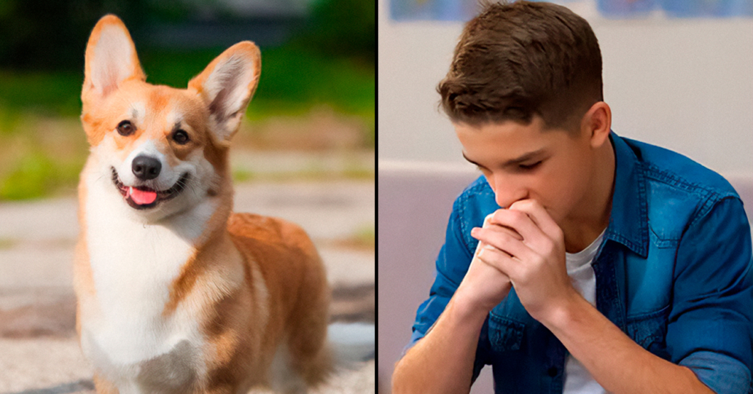 ChiguireBipolar's tweet image. Joven indeciso entre mantener perro o criar a malagradecido que va a hablar paja de él con su psicólogo en 25 años ow.ly/9btT50Wo5Tj