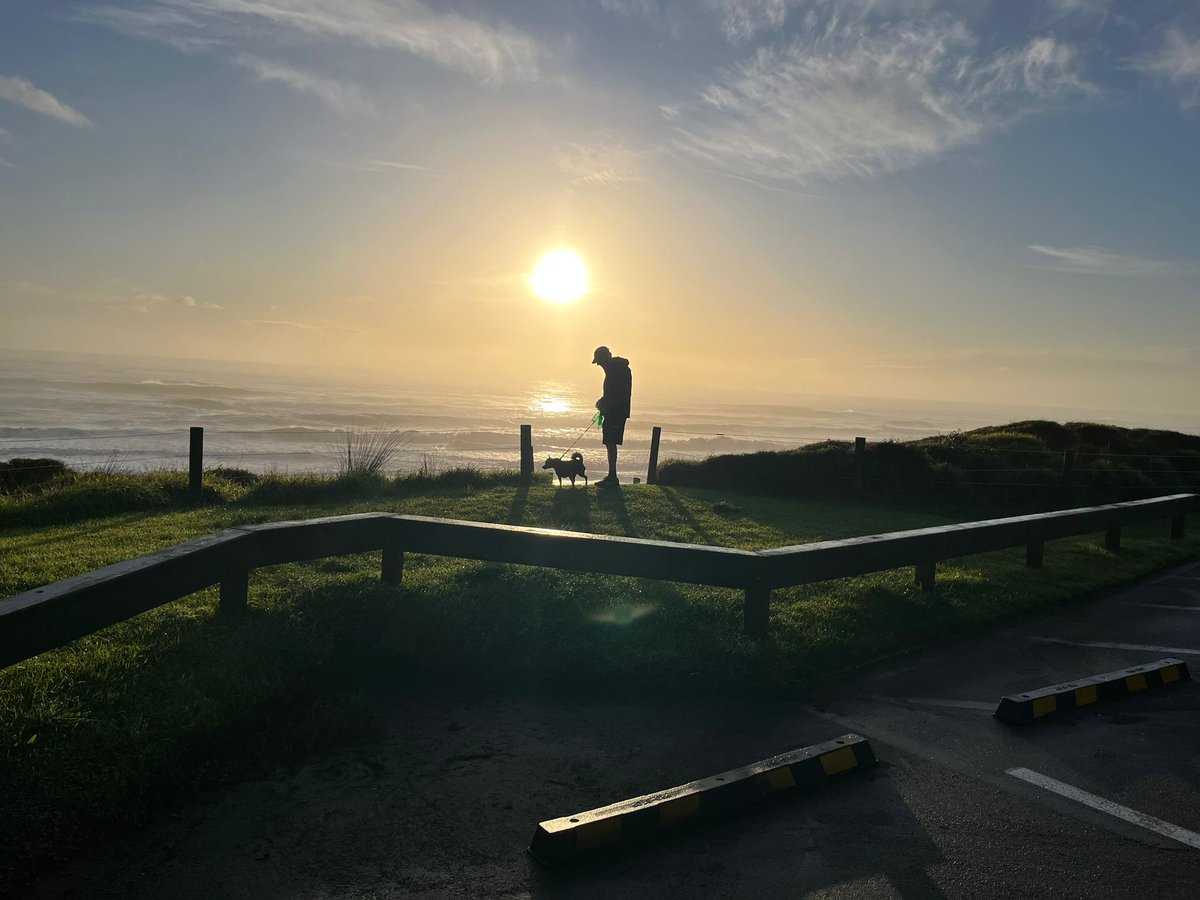 Humans are the only animals that think they are not animals.