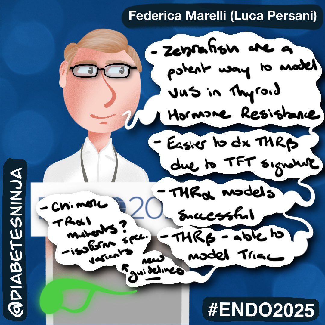 Stephen Stone, MD (@diabetesninja) on Twitter photo Luca Persani for Federica Marelli shared innovative approaches to thyroid hormone resistance at #ENDO2025:
🧬 Zebrafish = a powerful model for VUS in THR
📉 THRβ easier to dx via TFT signature
🧪 Chimeric TRα1 mutants? Isoform-specific insights coming
<a href="/TheEndoSociety/">Endocrine Society</a> Luca Persani for Federica Marelli shared innovative approaches to thyroid hormone resistance at #ENDO2025:
🧬 Zebrafish = a powerful model for VUS in THR
📉 THRβ easier to dx via TFT signature
🧪 Chimeric TRα1 mutants? Isoform-specific insights coming
<a href="/TheEndoSociety/">Endocrine Society</a>