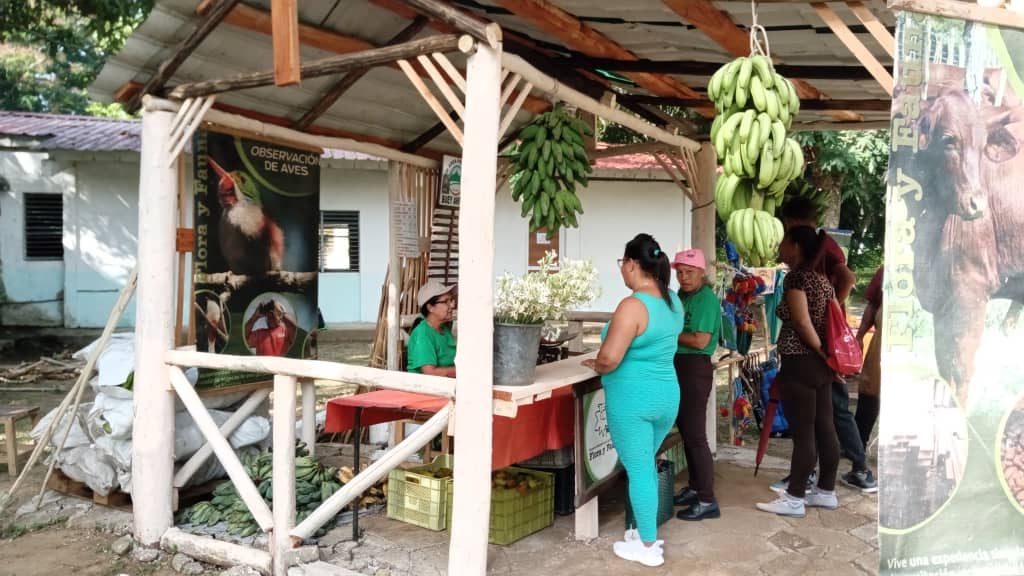 Un evento extraordinario inició hoy en #Bayamo #ProvinciaGranma la 26 Feria Agropecuaria,las tradiciones y lo mejor de nuestros campos se exponen en la misma, mucho esfuerzo y unidad de todos para que esta fiesta sea uno de los mejores platos de este Verano #SiempreJoven