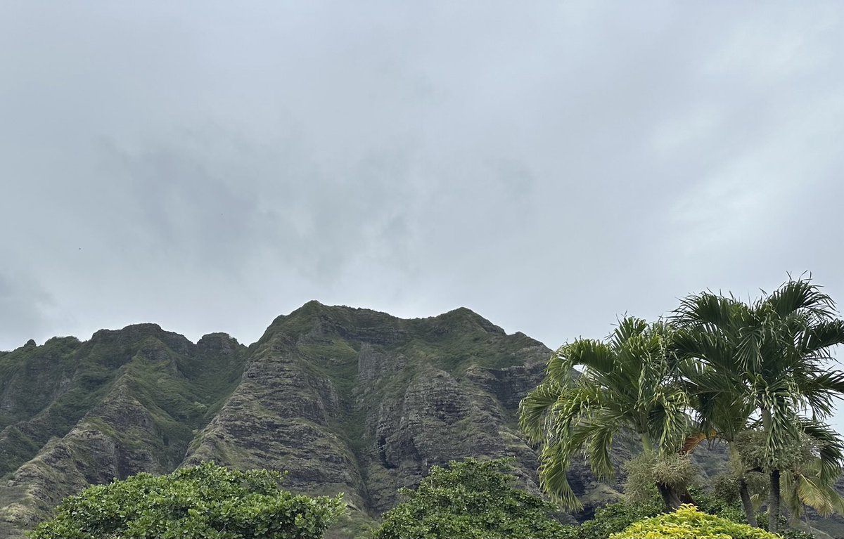 sproutsfan's tweet image. Out at Jurassic park